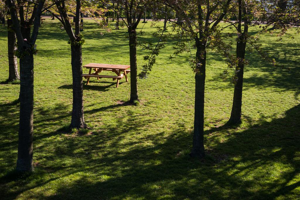 vista de alto ângulo de mesa de madeira vazia e bancos entre belas árvores no parque, copenhagen
 - Foto, Imagem