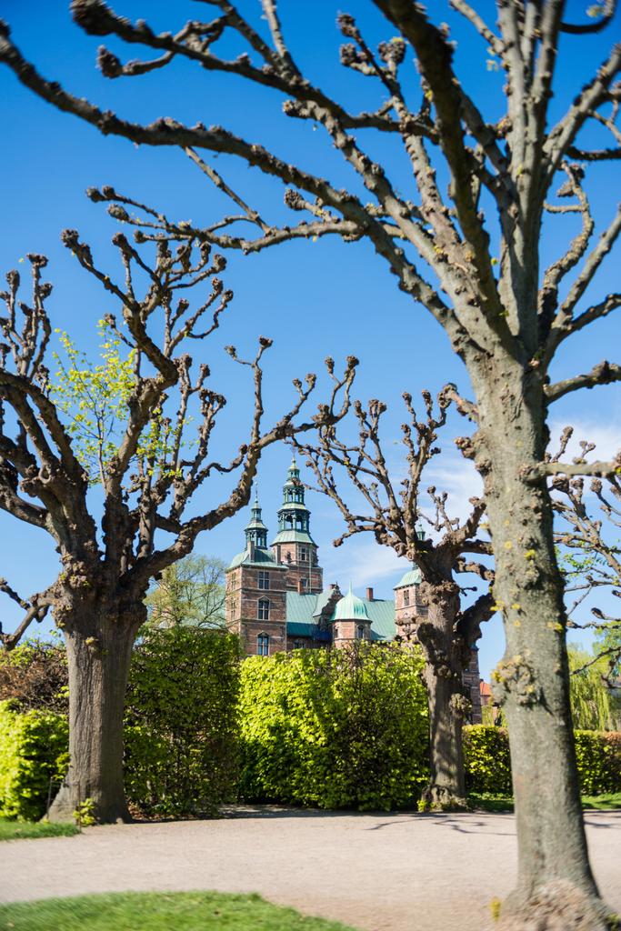 çıplak ağaçlar ve yeşil çalılar Kopenhag, Danimarka Rosenborg castle yakınındaki Park - Fotoğraf, Görsel