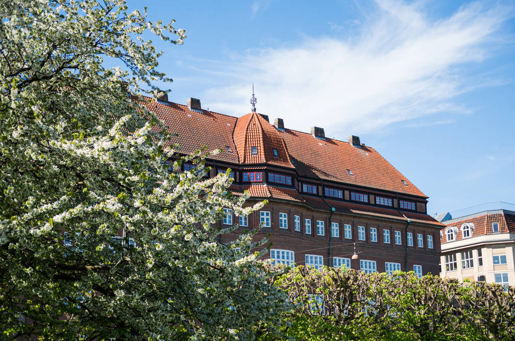 Kwitnąca drzewo, zielone krzewy i pięknej architektury w Kopenhadze, Dania - Zdjęcie, obraz