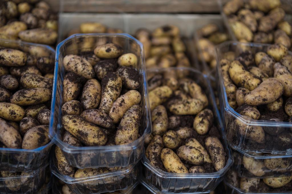 potatoes - Photo, Image