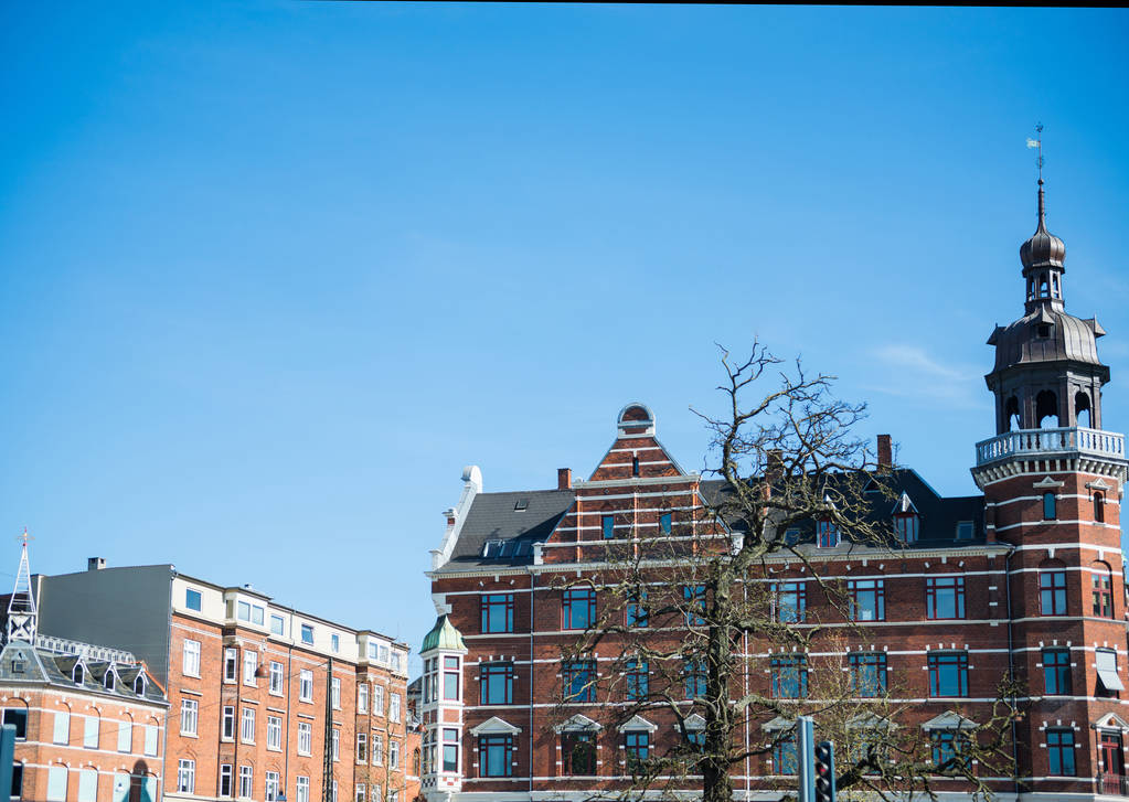 міський пейзаж з дерева і будівлі під яскравим Синє небо в Копенгагені, Данія - Фото, зображення