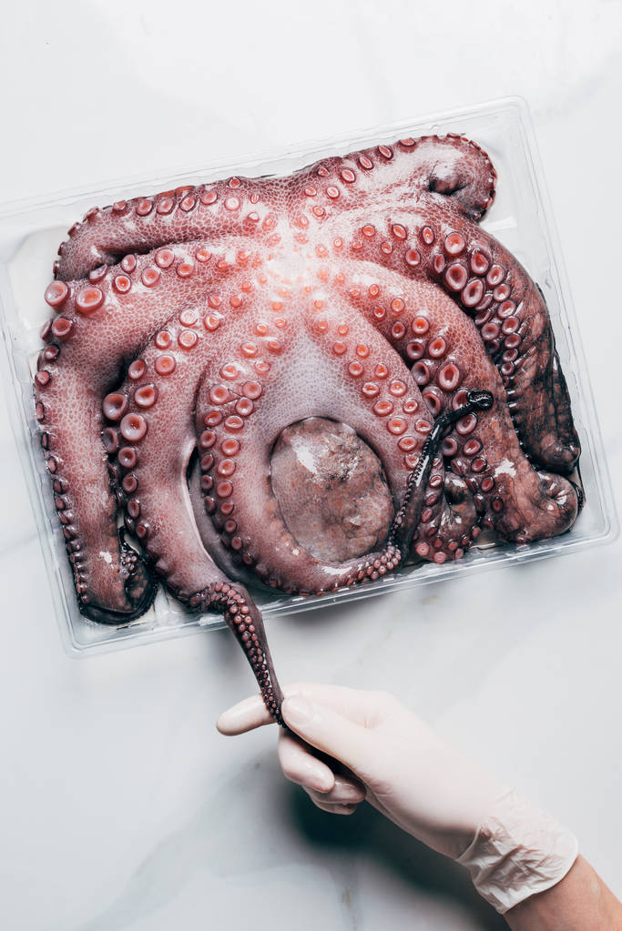 Ansicht von Hand mit großem rohen Oktopus im Plastikbehälter auf heller Marmoroberfläche - Foto, Bild