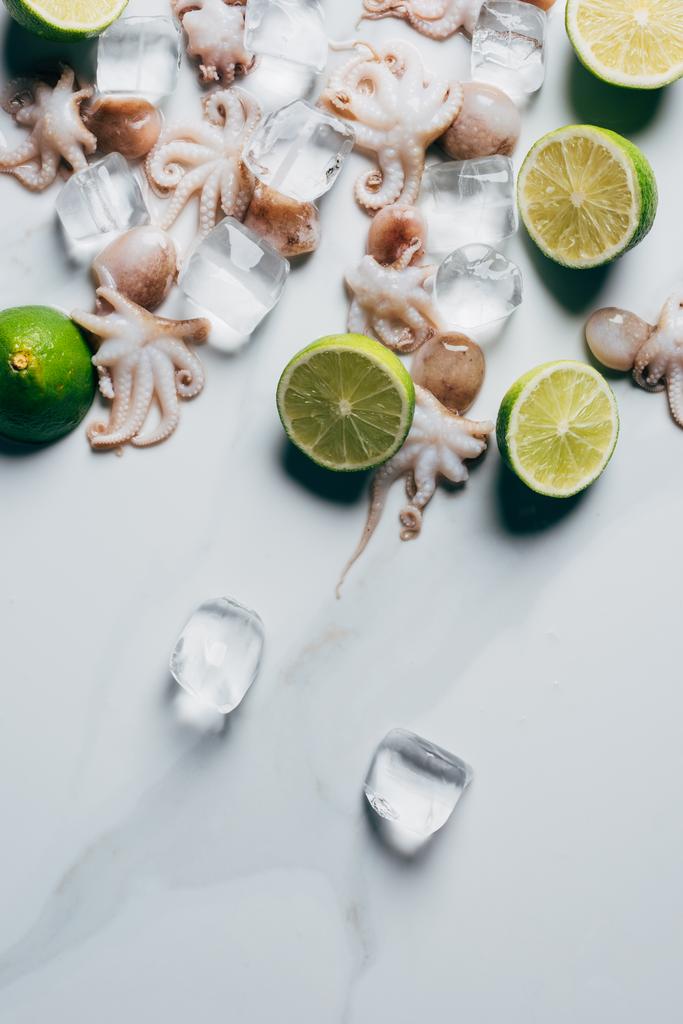 top view of little octopuses with limes and ice cubes on light marble surface - Photo, Image