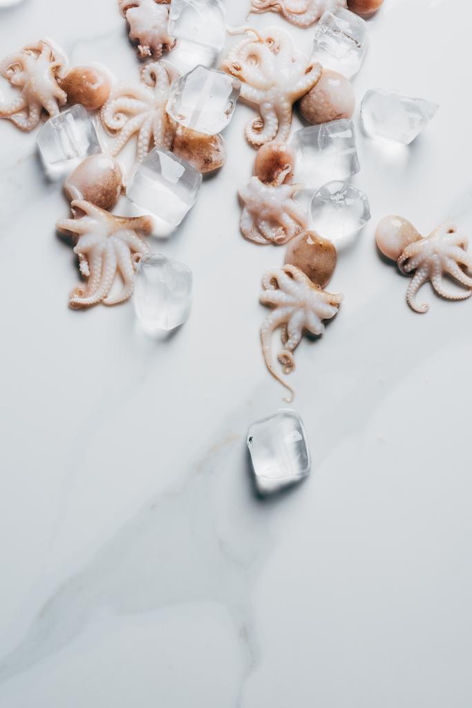 buz küpleri ile küçük ahtapot üstten görünüm mermer yüzeyi - Fotoğraf, Görsel