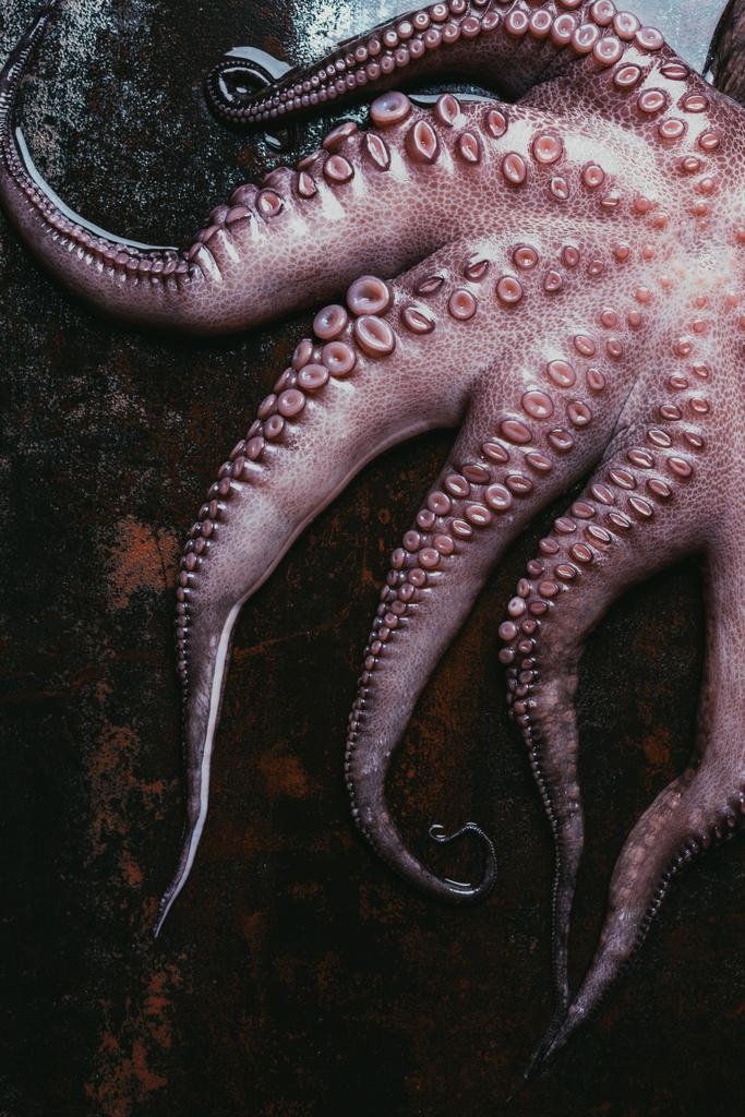 top view of big raw octopus tentacles on rusty metal surface - Photo, Image