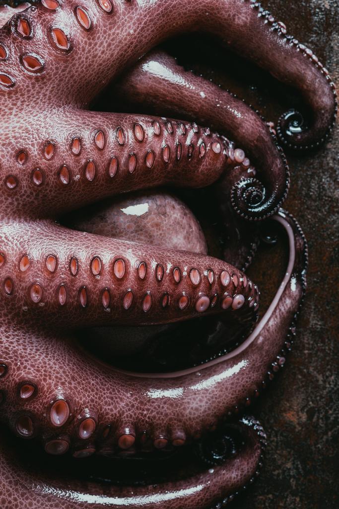 top view of big octopus tentacles on rusty metal surface - Photo, Image