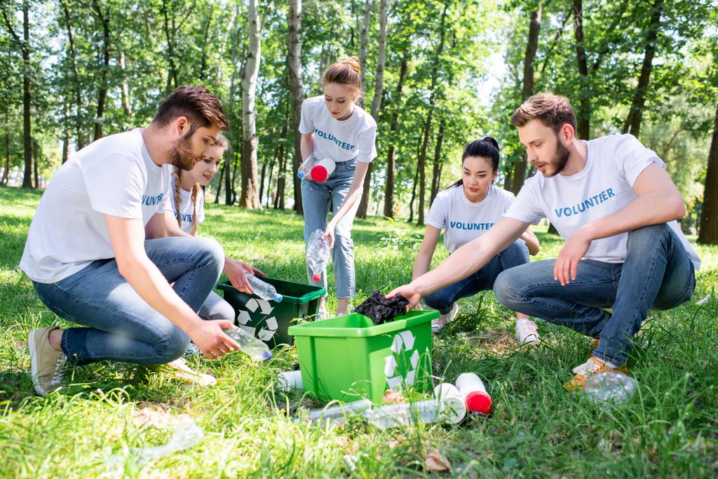 giovani volontari con green recycling box cleaning park insieme
 - Foto, immagini
