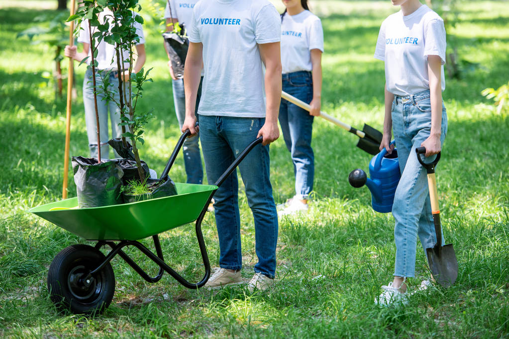 vue recadrée de bénévoles plantant ensemble des arbres dans un parc vert
 - Photo, image