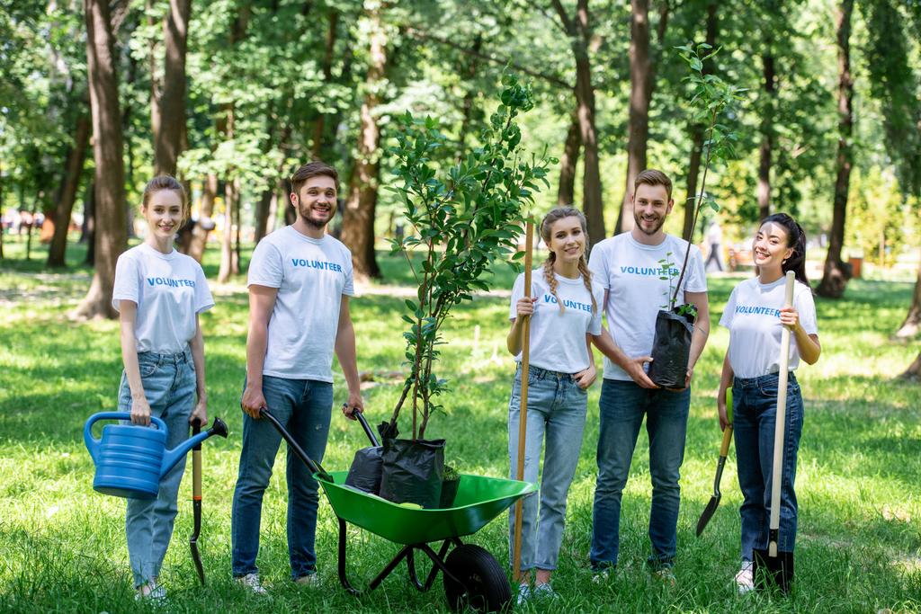друзья волонтерство и посадка деревьев в парке вместе
 - Фото, изображение