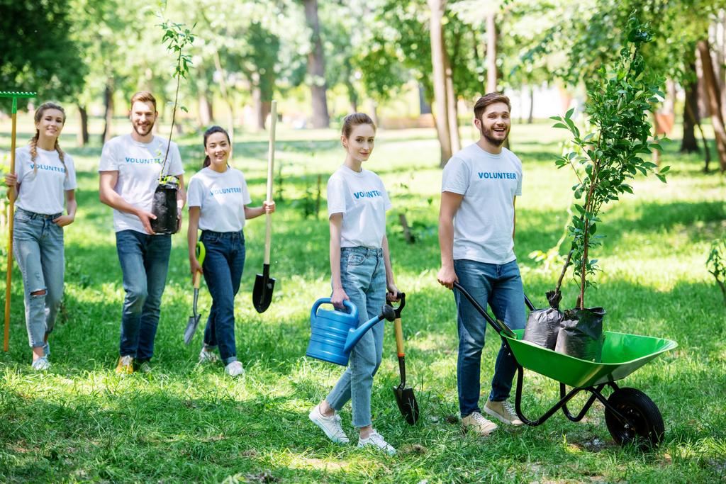 vrienden vrijwilligerswerk en het planten van bomen in park samen - Foto, afbeelding