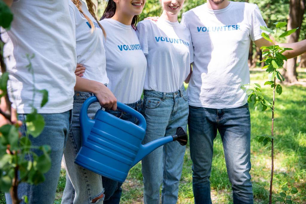 cropped view of volunteers with watering can and new trees in park   - Photo, Image