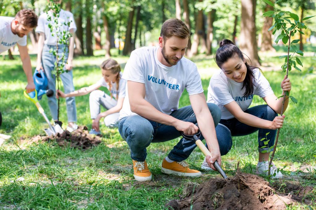 νέοι εθελοντές φύτευση νέων δένδρων σε πάρκο  - Φωτογραφία, εικόνα