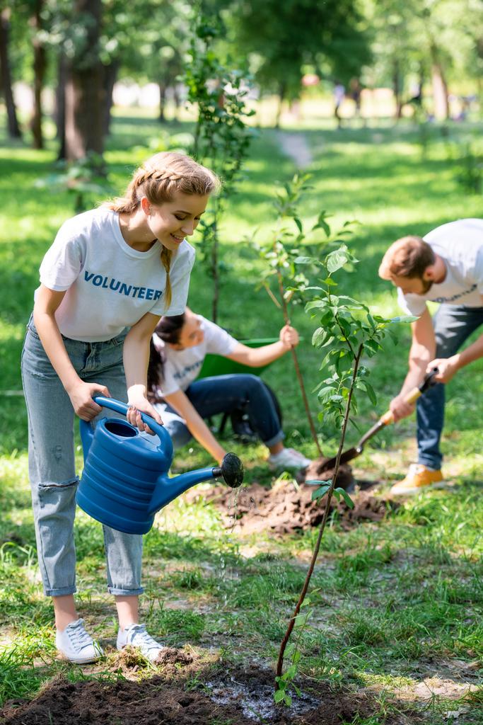 молоді добровольці посадять і поливають нові дерева в парку
  - Фото, зображення