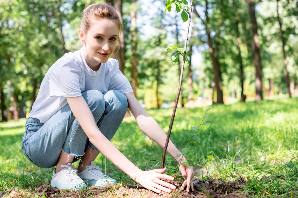 nuori houkutteleva vapaaehtoinen istuttamassa uutta puuta puistoon
  - Valokuva, kuva
