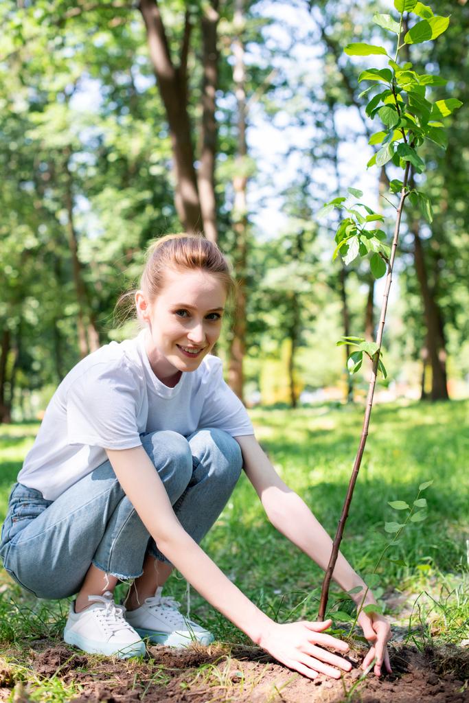 hermosa sonriente voluntario plantando nuevo árbol en el parque
 - Foto, imagen