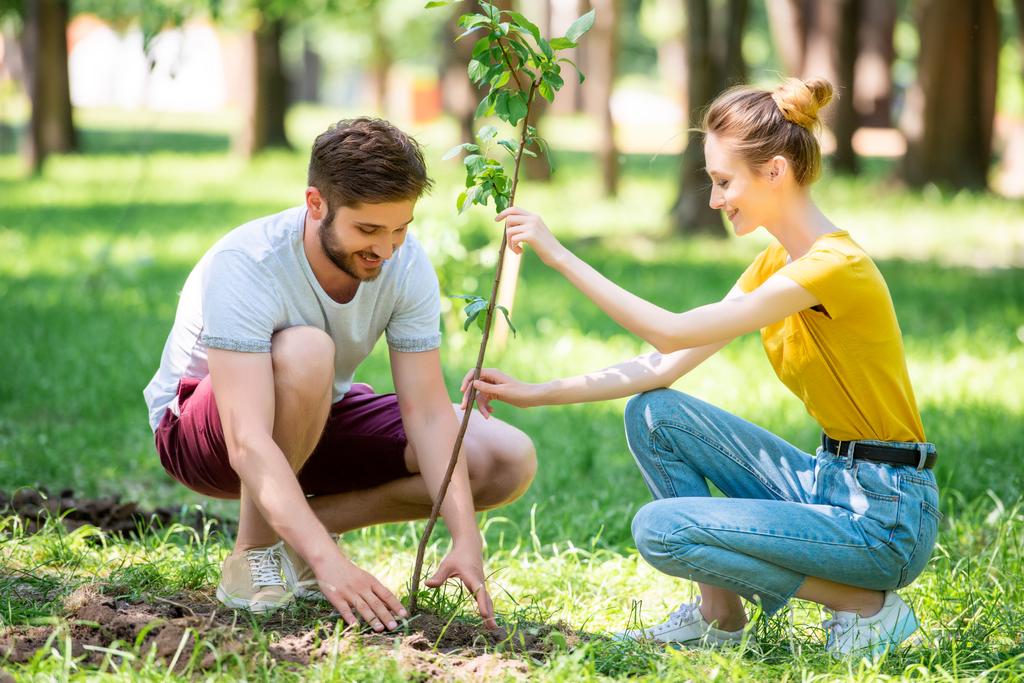 mladý pár, výsadba nových stromů v parku  - Fotografie, Obrázek