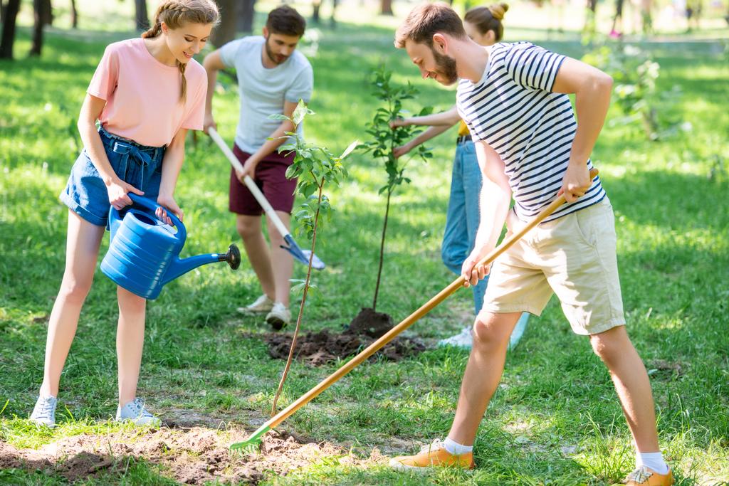 amigos caucásicos plantando y regando nuevos árboles en el parque
 - Foto, imagen