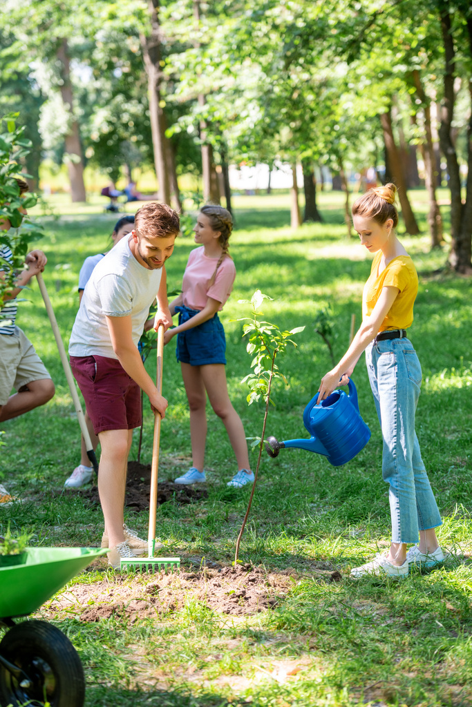 男性と女性は新しい木を植えると、公園でのボランティア活動 - 写真・画像