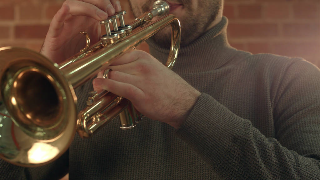 Mani di un musicista che suona la tromba
 - Foto, immagini