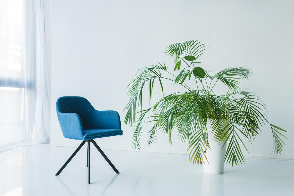 interiér obývacího pokoje s křeslem a palm v hrnci - Fotografie, Obrázek