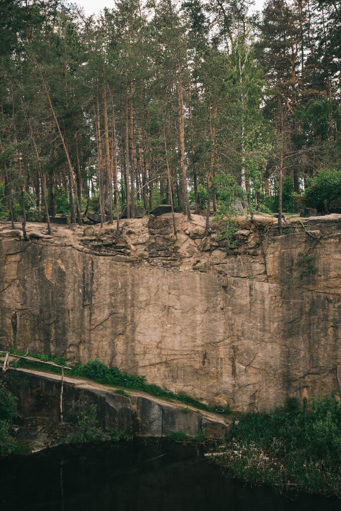 vista panoramica degli alberi sulla scogliera rocciosa sul fiume nella foresta
 - Foto, immagini