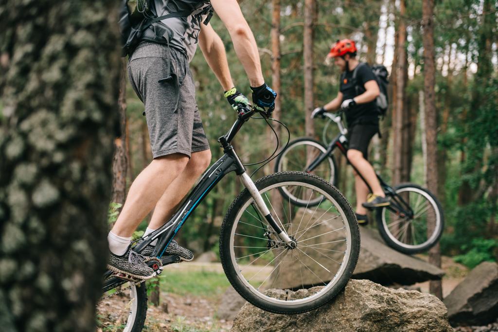 przycięte strzał młodych rowerzystów próbny zabawy w lesie sosnowym - Zdjęcie, obraz