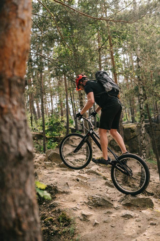 спортивний молодий пробний велосипедист верхи в сосновому лісі
 - Фото, зображення