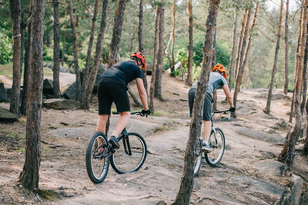 Achteraanzicht van mannelijke extreme fietsers in beschermende helmen rijden op mountainbikes in bos - Foto, afbeelding