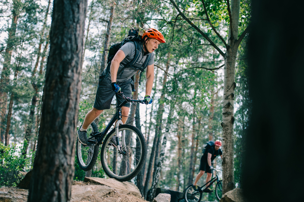 ενεργό νέους δίκη ποδηλάτες ιππασίας στο όμορφο δάσος - Φωτογραφία, εικόνα