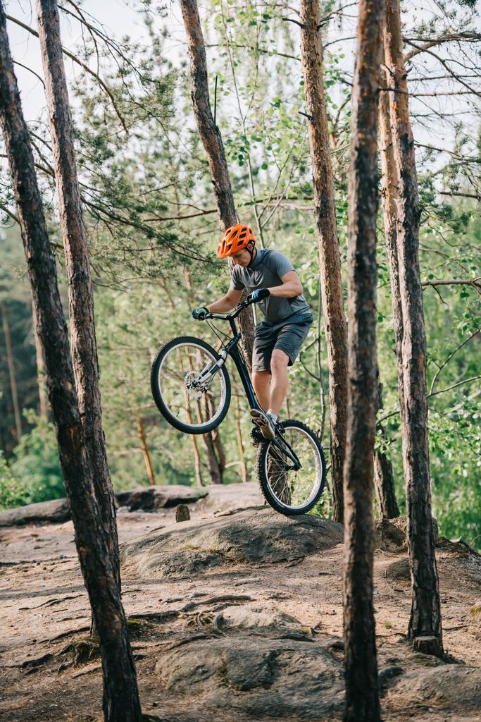 male extreme cyclist in protective helmet balancing on back wheel of mountain bicycle in forest - Photo, Image