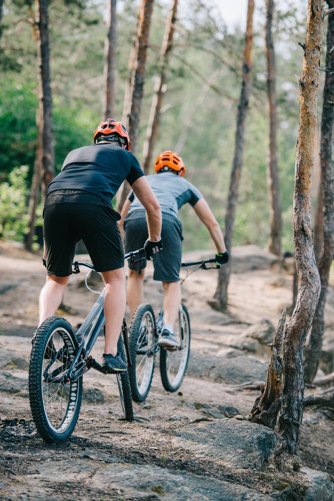 Dikiz deneme bisikletçileri güzel çam ormanı sürme - Fotoğraf, Görsel