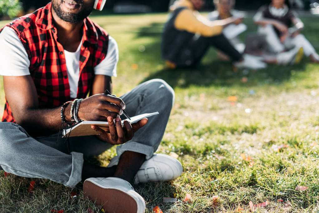 vista parziale dell'uomo afroamericano in cuffia con notebook appoggiato su prato verde nel parco
 - Foto, immagini