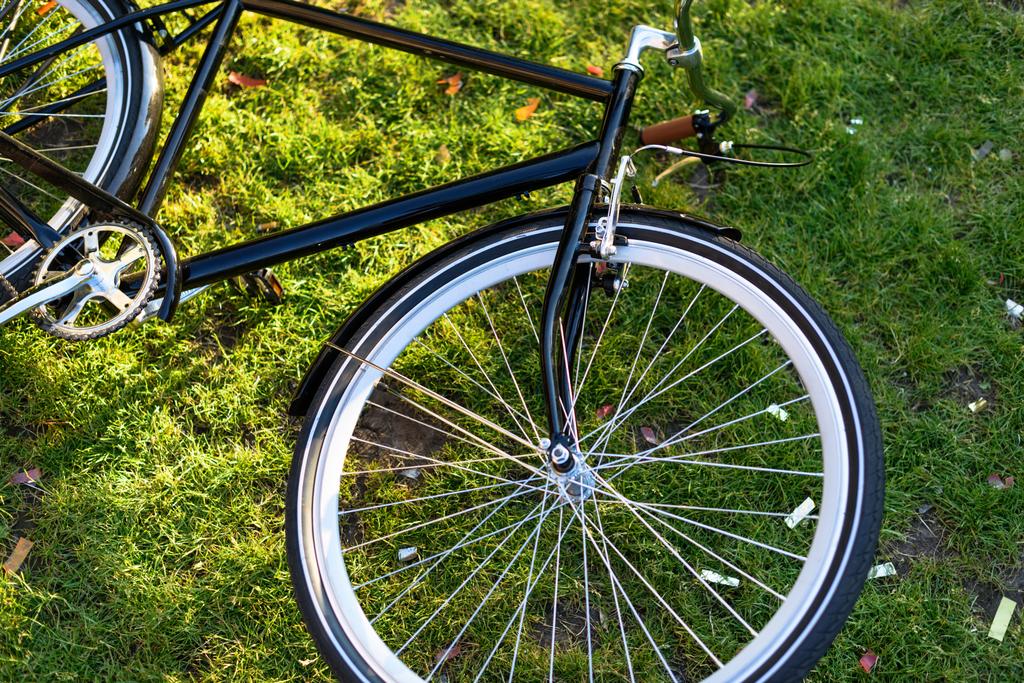 公園内の緑の草の上に横たわるレトロな自転車のクローズ アップ表示 - 写真・画像