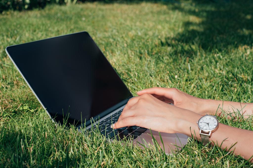 częściowy widok freelancer pisania na laptopa na zielonej trawie w parku - Zdjęcie, obraz