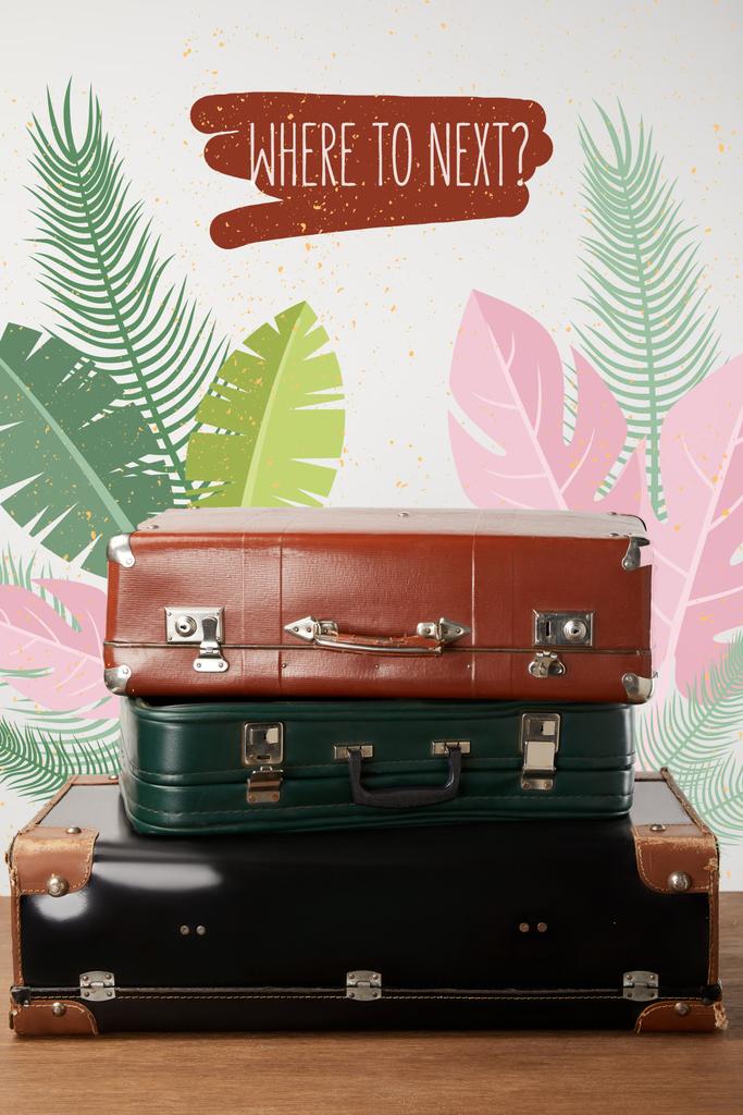 Empilhados sacos de viagem de couro velho com folhas de palma ilustração
 - Foto, Imagem