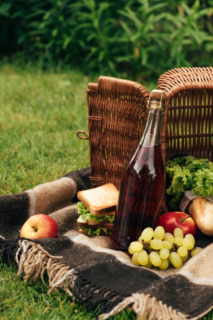flipped over basket with fruits and bottle of champagne on blanket in park - Photo, Image