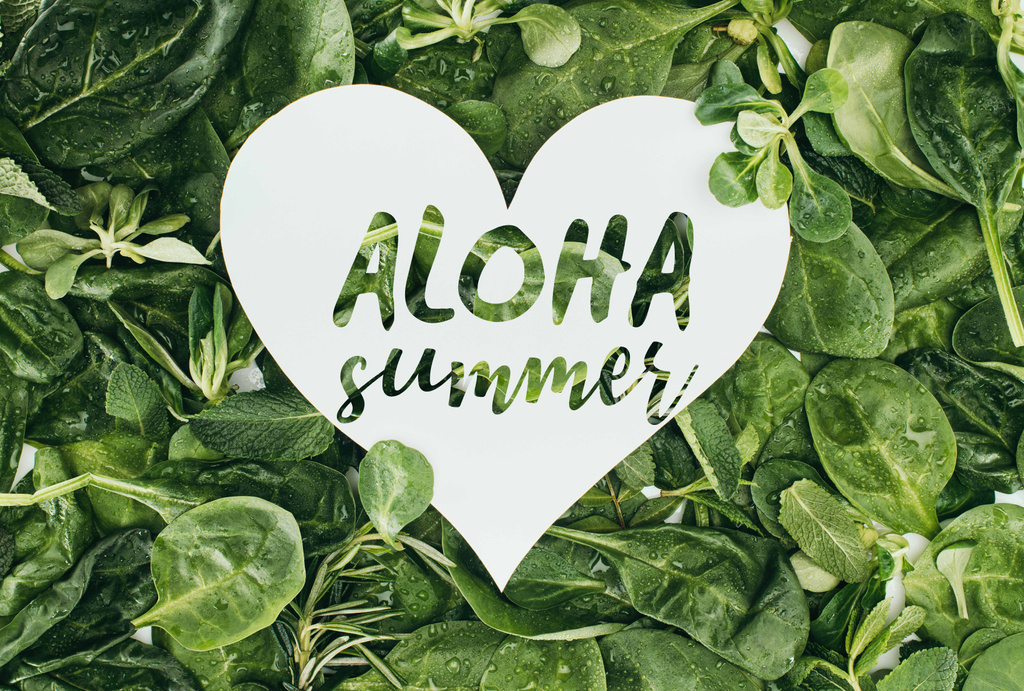 white heart symbol with words aloha summer and beautiful wet green leaves - Photo, Image