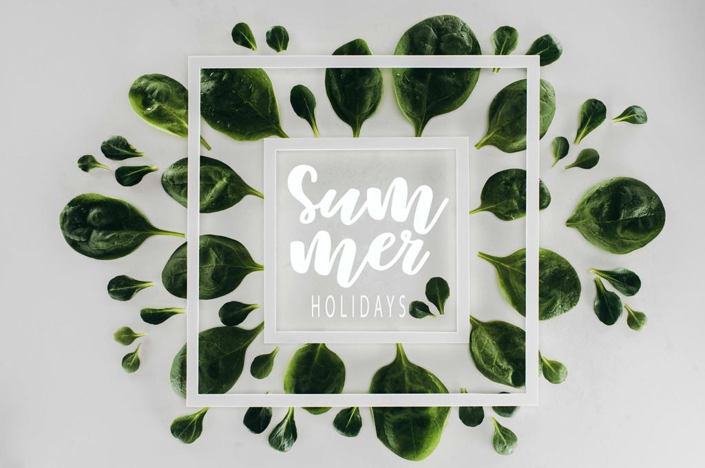 新鮮な緑の葉と言葉で白い正方形のフレームの上面の灰色の夏休み ロイヤリティフリー写真 画像素材