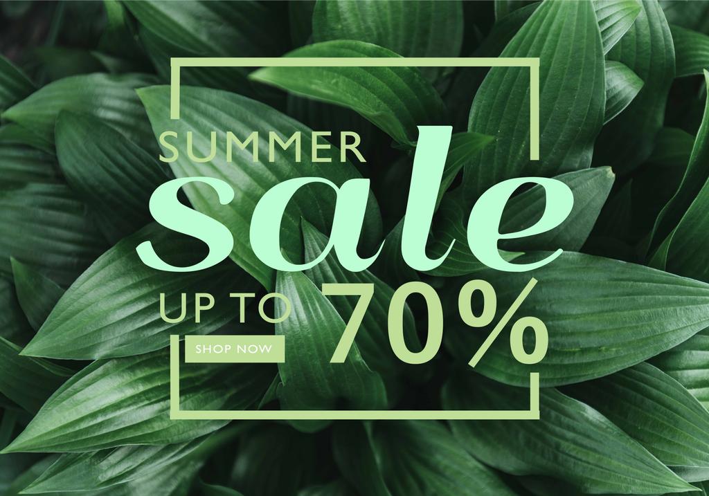 Full frame image of hosta leaves with summer sale discount in frame - Photo, Image