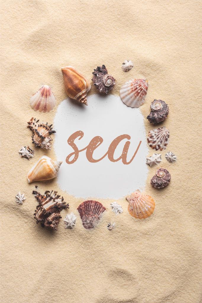Καρέ διάφορα κοχύλια στην παραλία με την επιγραφή «θάλασσα» - Φωτογραφία, εικόνα