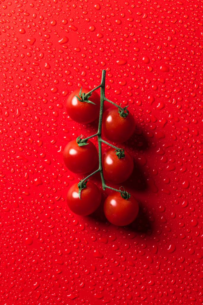 vista elevada de tomates cherry en la superficie roja con gotas de agua
 - Foto, Imagen