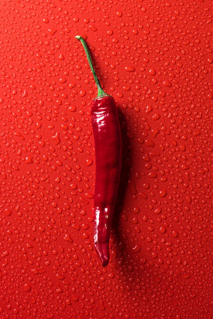 ylhäältä näkymä punainen chili pippuri punaisella pinnalla vesipisaroilla
 - Valokuva, kuva