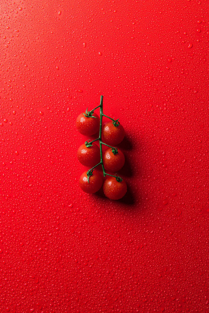Ansicht von Kirschtomaten auf roter Oberfläche mit Wassertropfen - Foto, Bild