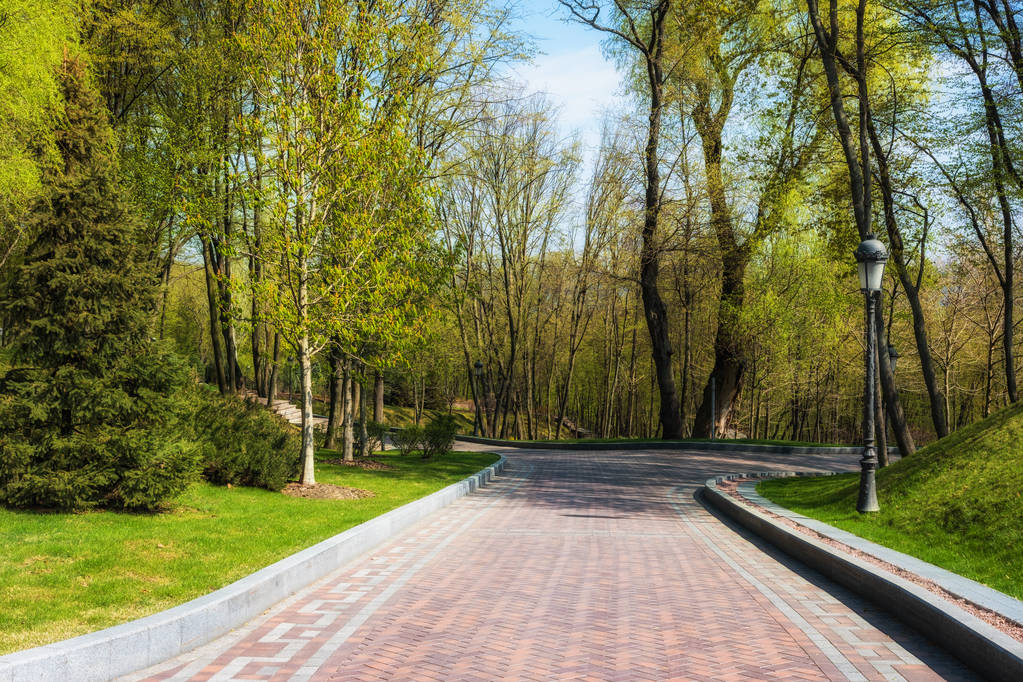 Grüner Frühling sonniger Stadtpark mit Straße und schöner Baumallee - Foto, Bild