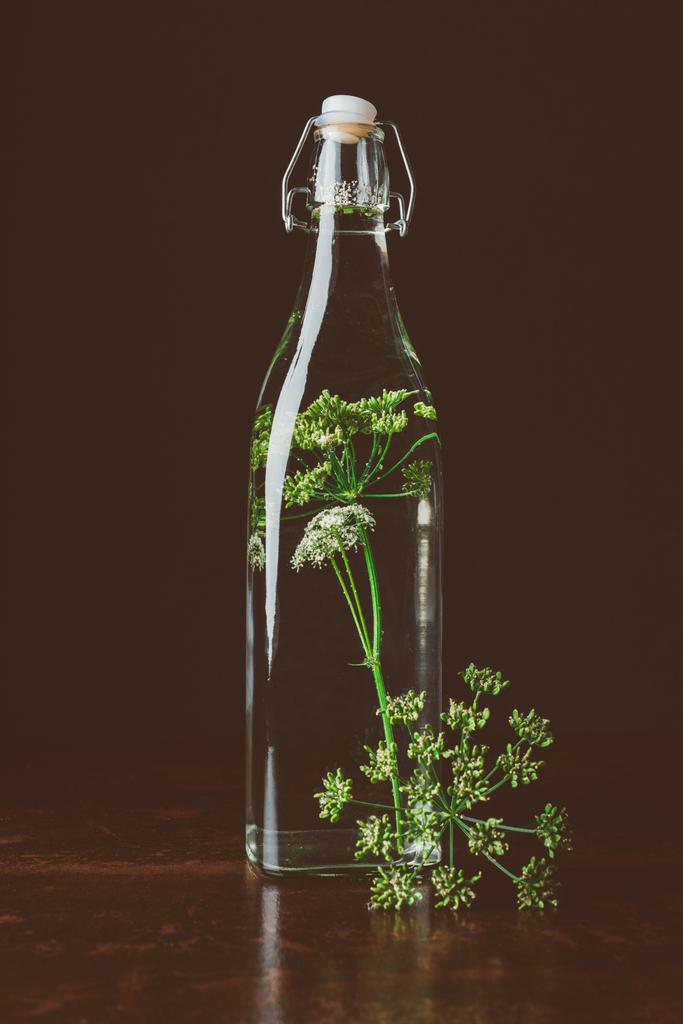скляна пляшка з водою і кропом на дерев'яному столі на чорному
 - Фото, зображення