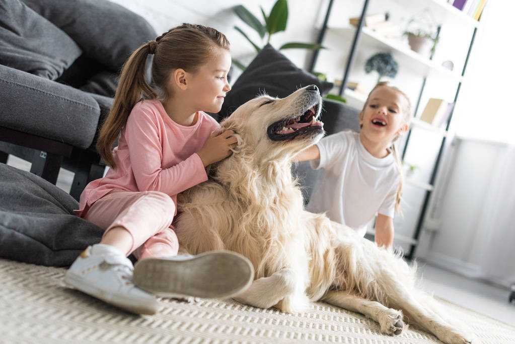 šťastné rozkošné děti mazlit zlatý retrívr pes doma - Fotografie, Obrázek