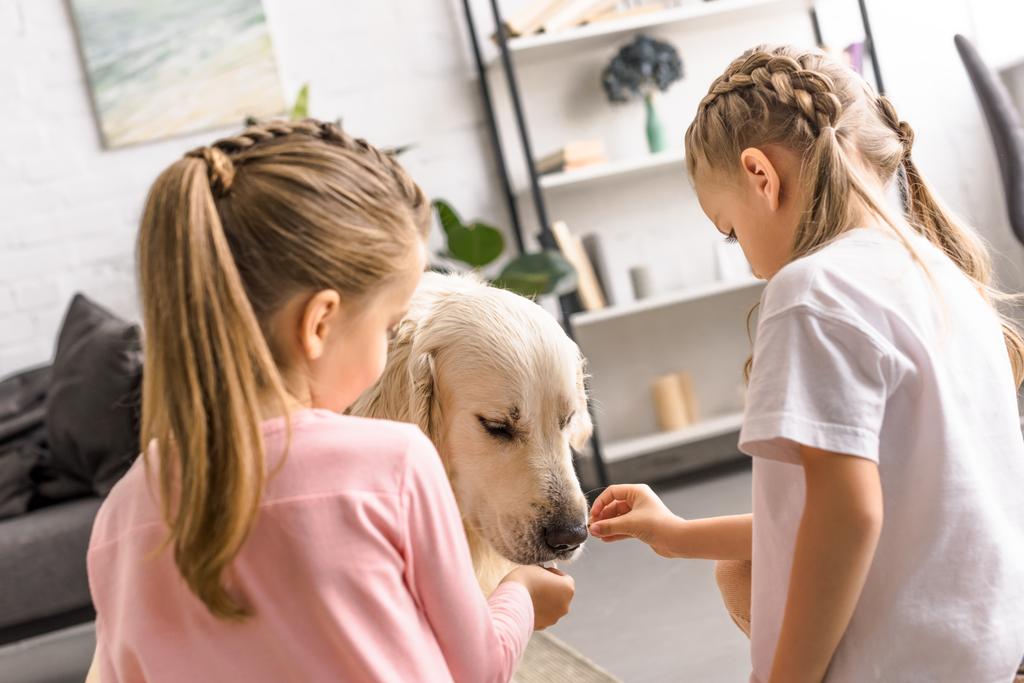 crianças alimentando cão golden retriever com guloseimas em casa
 - Foto, Imagem