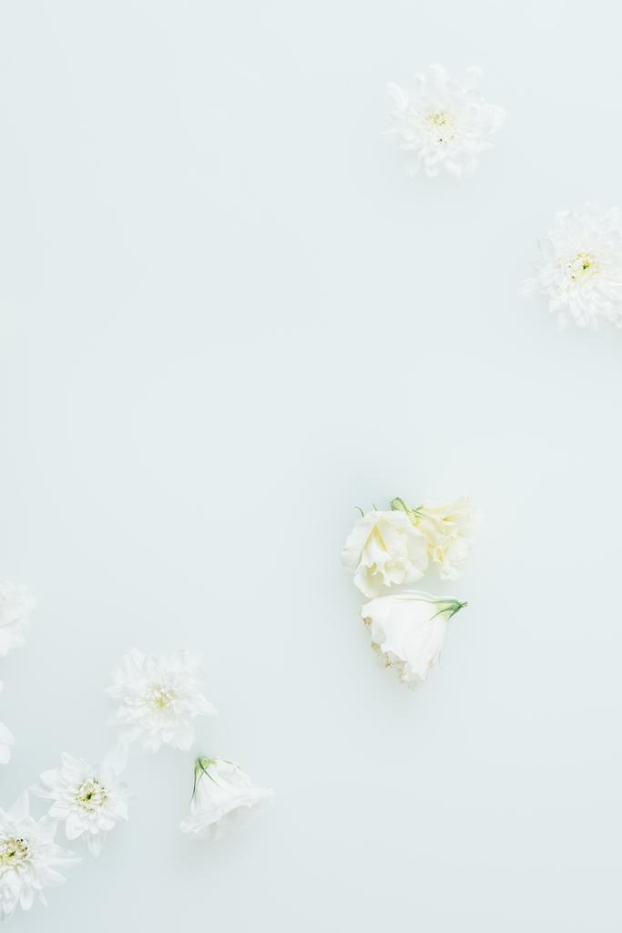 top view of arranged beautiful white flowers in milk - Photo, Image