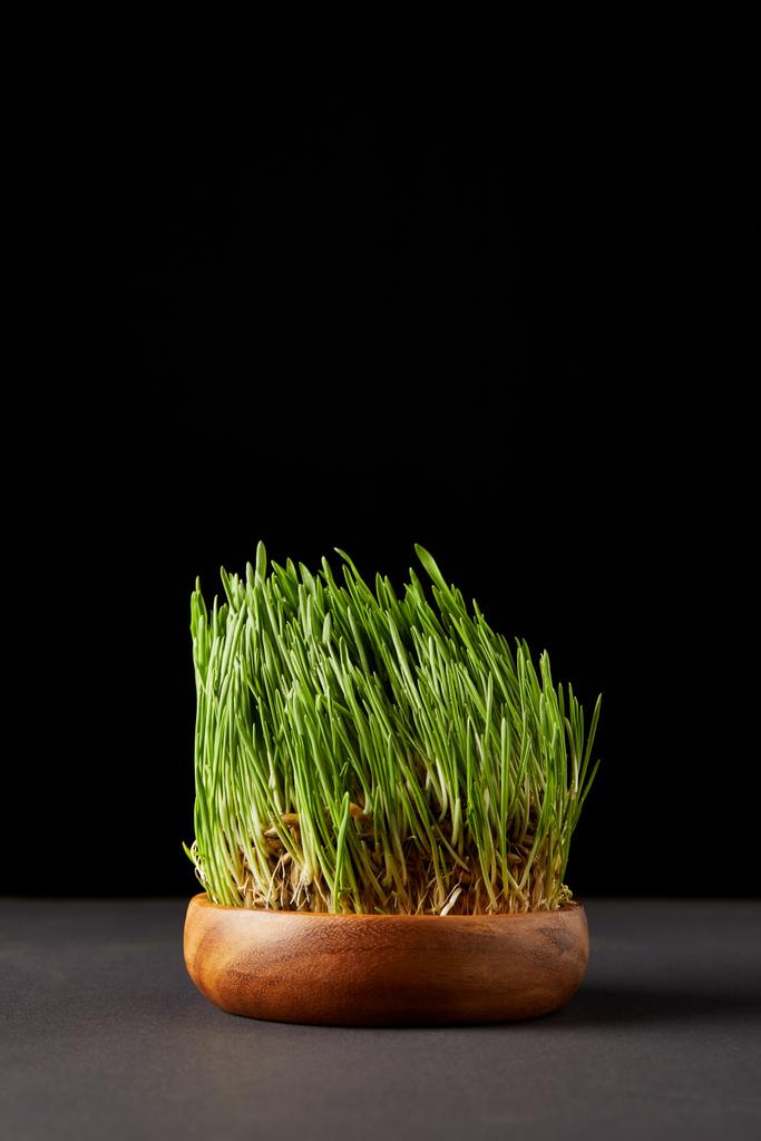Espirulina hierba en cuenco de madera sobre fondo negro
  - Foto, imagen