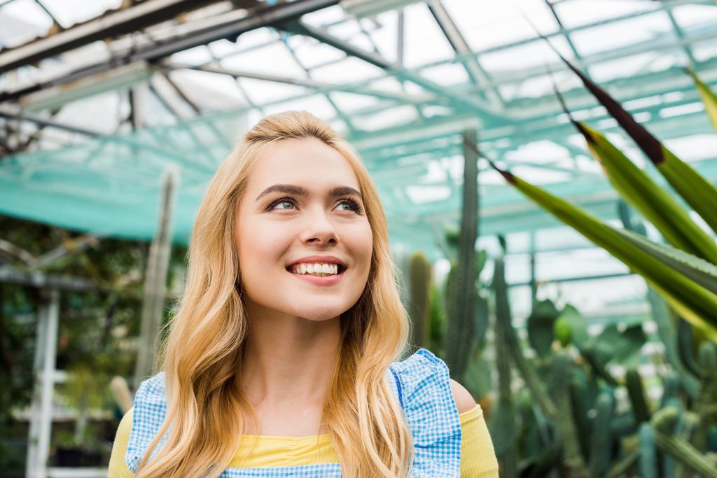 hermosa sonriente joven rubia mujer mirando hacia arriba en invernadero
 - Foto, Imagen